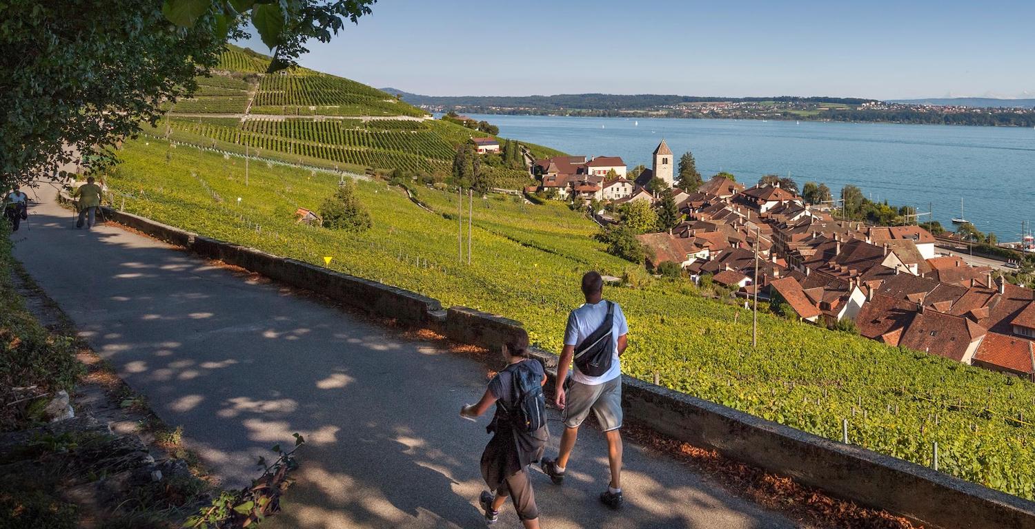 Balade sur le chemin des vignes, au bord du lac de Bienne © Suisse Mobile