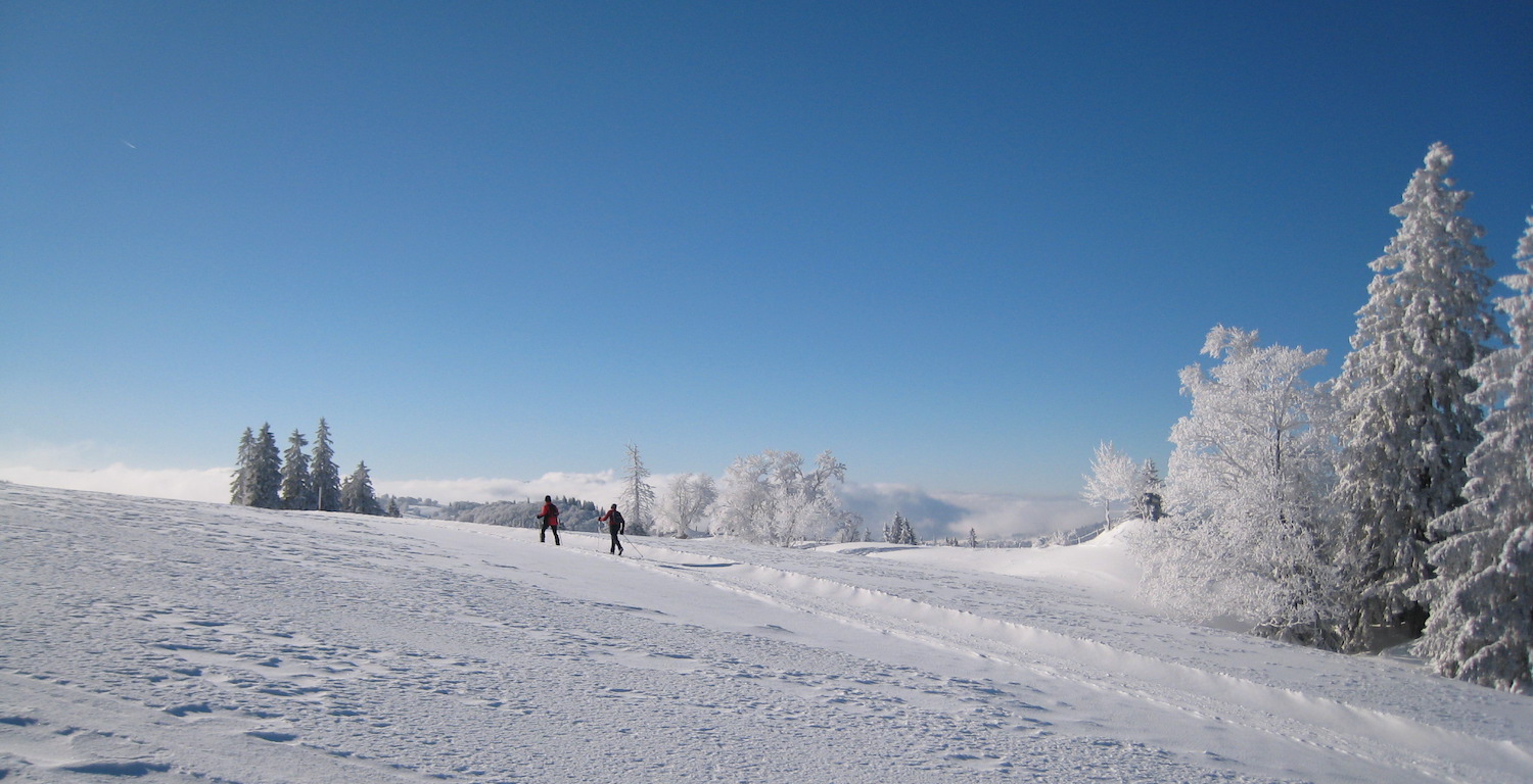 Ski de fond au Mont Racine, Jura suisse