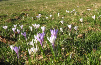 Notre site web fait peau neuve!